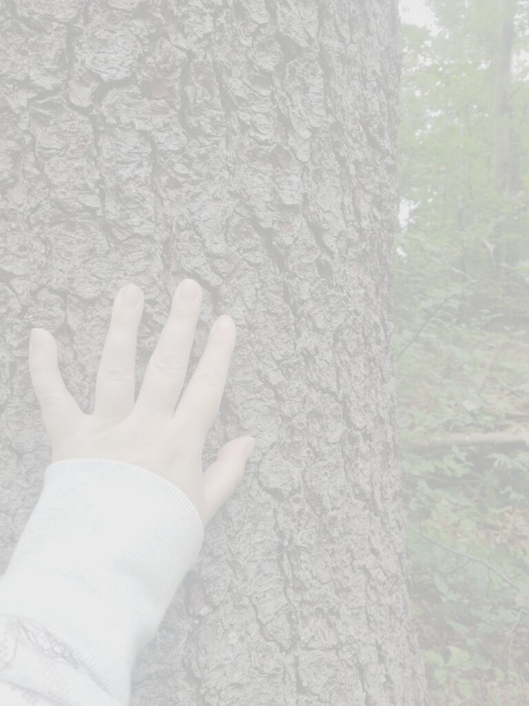kuvituskuva: käsi puunrungolla